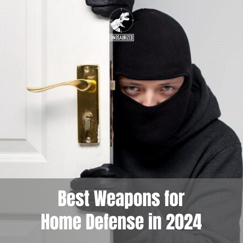 Best Weapons for Home Defense in 2024