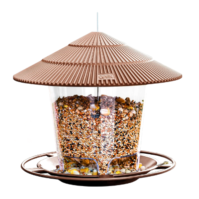 Bird Feeder