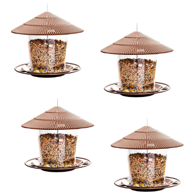 Bird Feeder