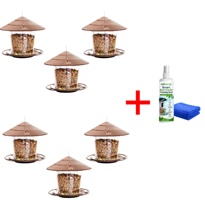 Bird Feeder