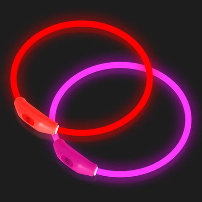 Beacon Dog Glow Collar