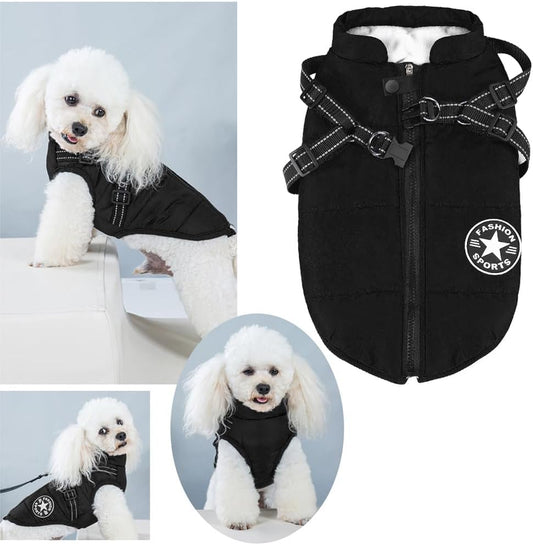 Legionnaire Winter Dog Jacket