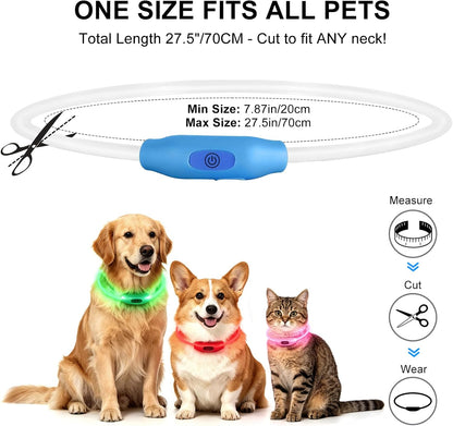 Beacon Dog Glow Collar