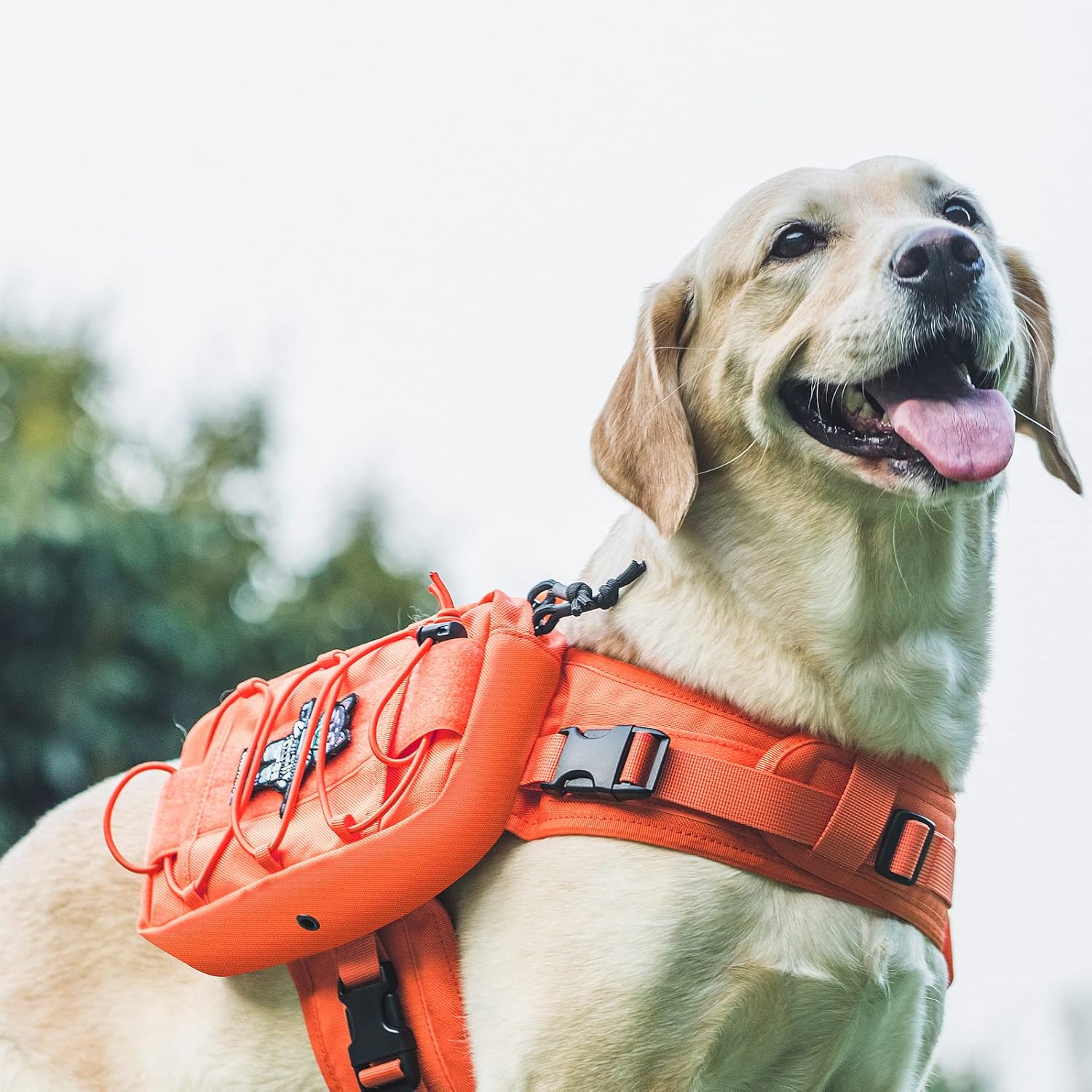 PAW-TROL DOG BACKPACK