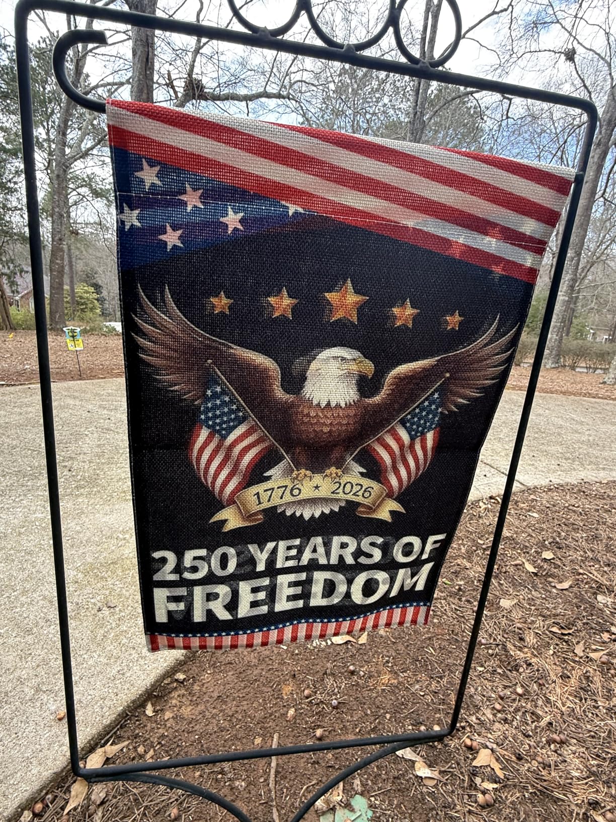 FREEDOM SENTINEL FLAG