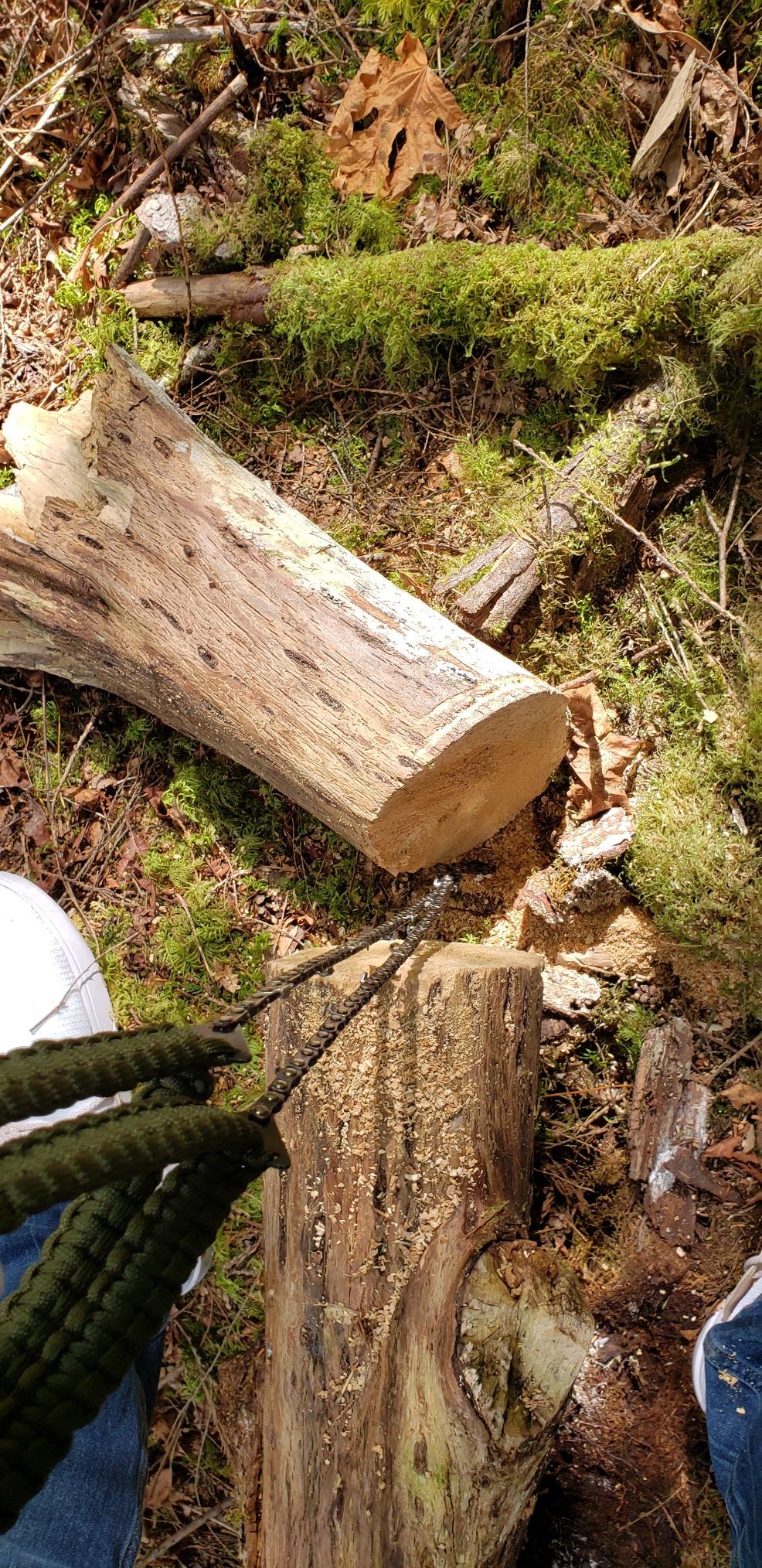 Falcata Pocket Chainsaw