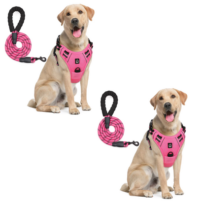 Anchorpoint No-Pull Harness & Leash Set