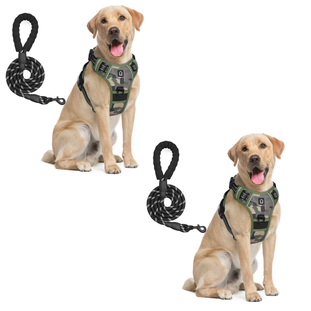 Anchorpoint No-Pull Harness & Leash Set
