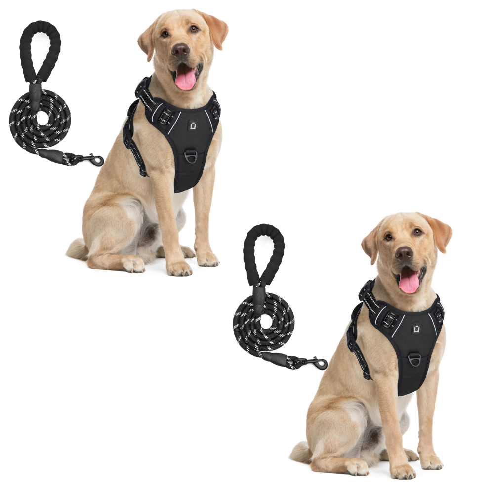 Anchorpoint No-Pull Harness & Leash Set