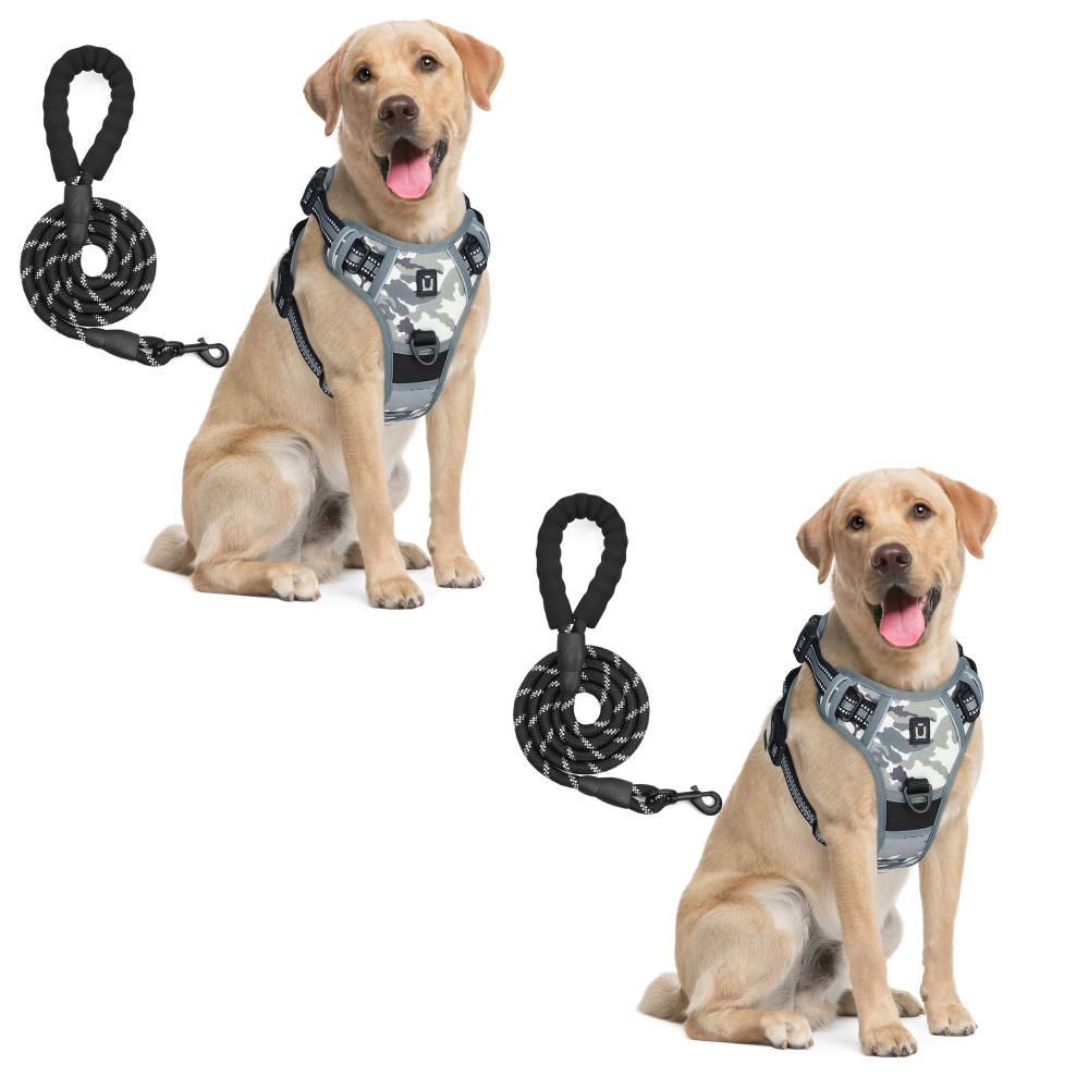 Anchorpoint No-Pull Harness & Leash Set
