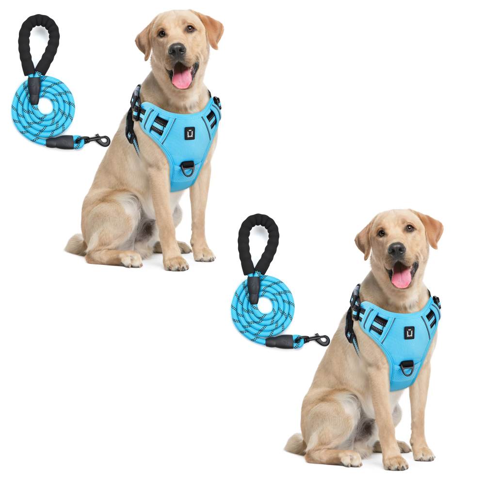 Anchorpoint No-Pull Harness & Leash Set
