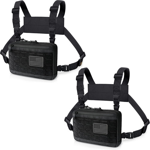 2 Dino Chest Bags