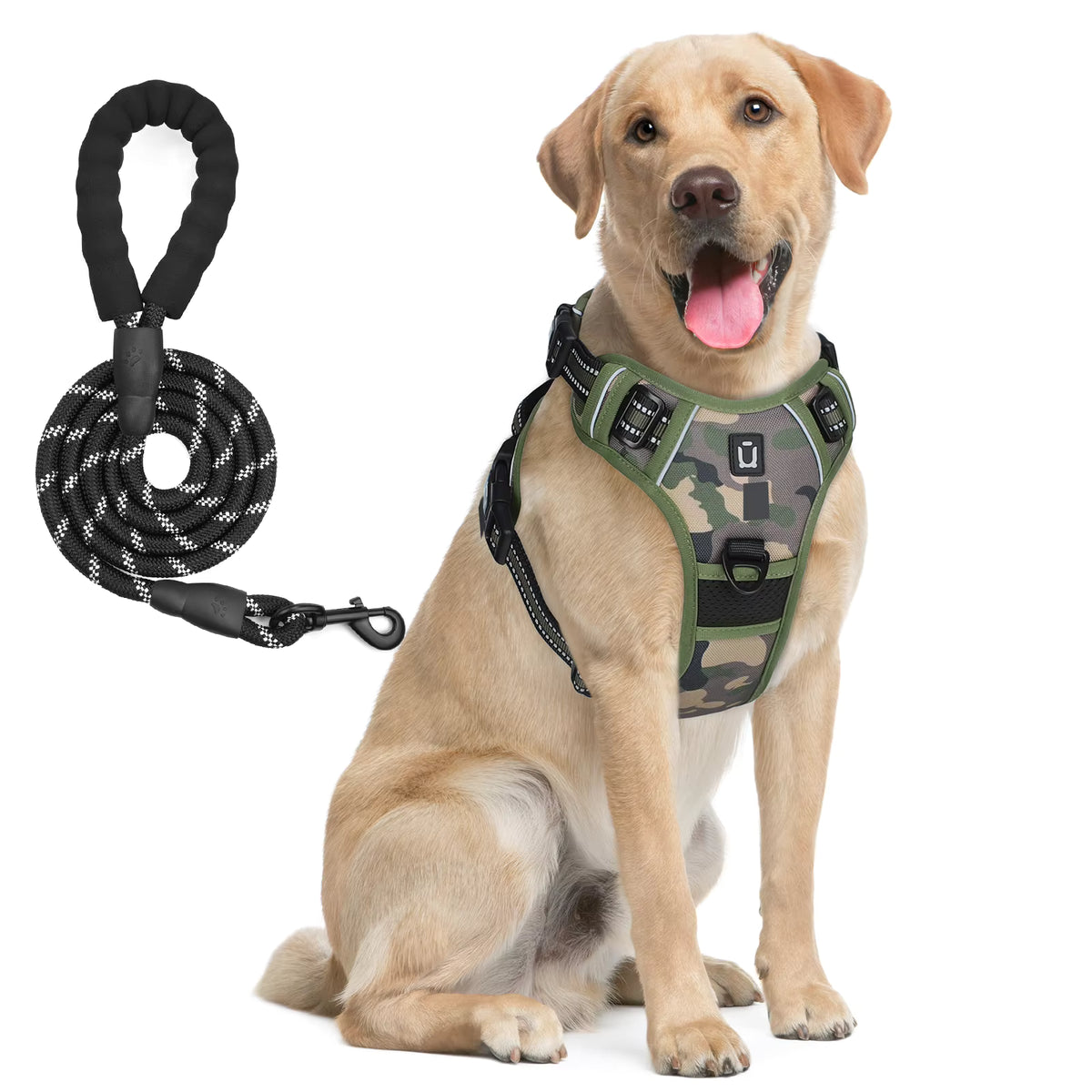 Anchorpoint No-Pull Harness & Leash Set