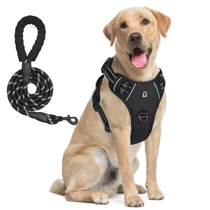 Anchorpoint No-Pull Harness & Leash Set