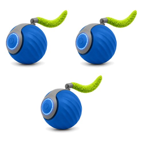 Skitter Cat Toy