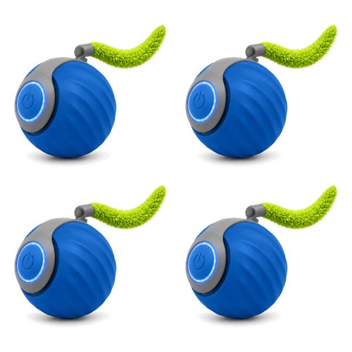 Skitter Cat Toy