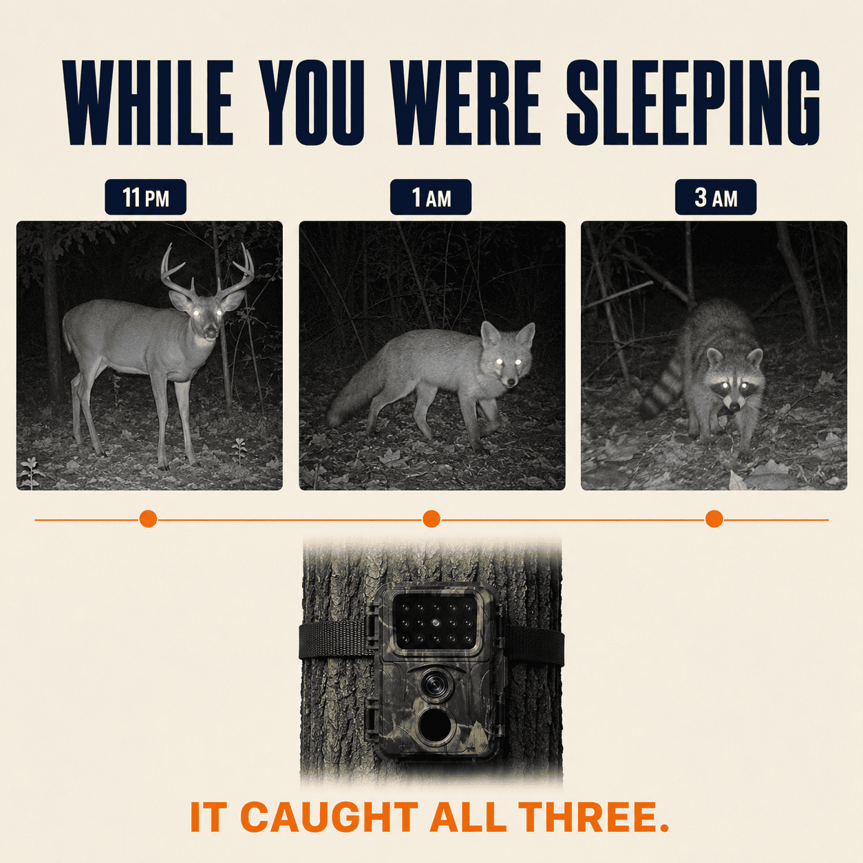 Warden Trail Cam