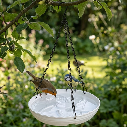 Hanging Bird Feeder & Bath Tray