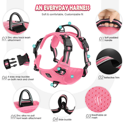 Anchorpoint No-Pull Harness & Leash Set