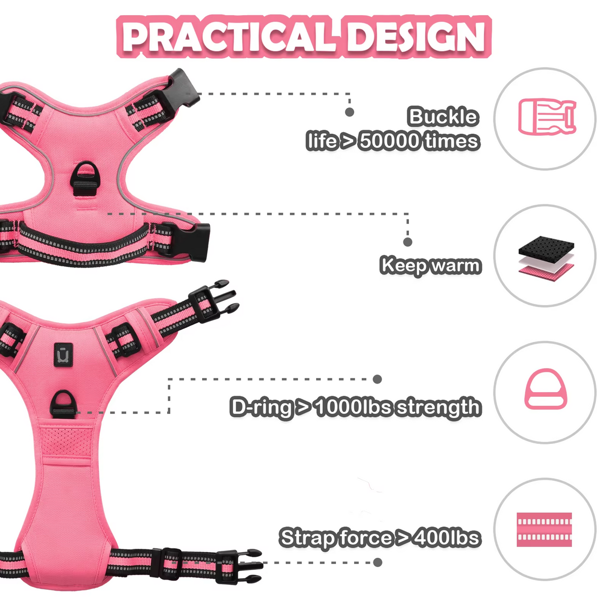 Anchorpoint No-Pull Harness & Leash Set