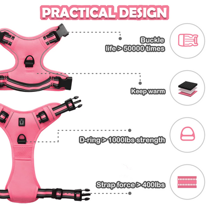 Anchorpoint No-Pull Harness & Leash Set