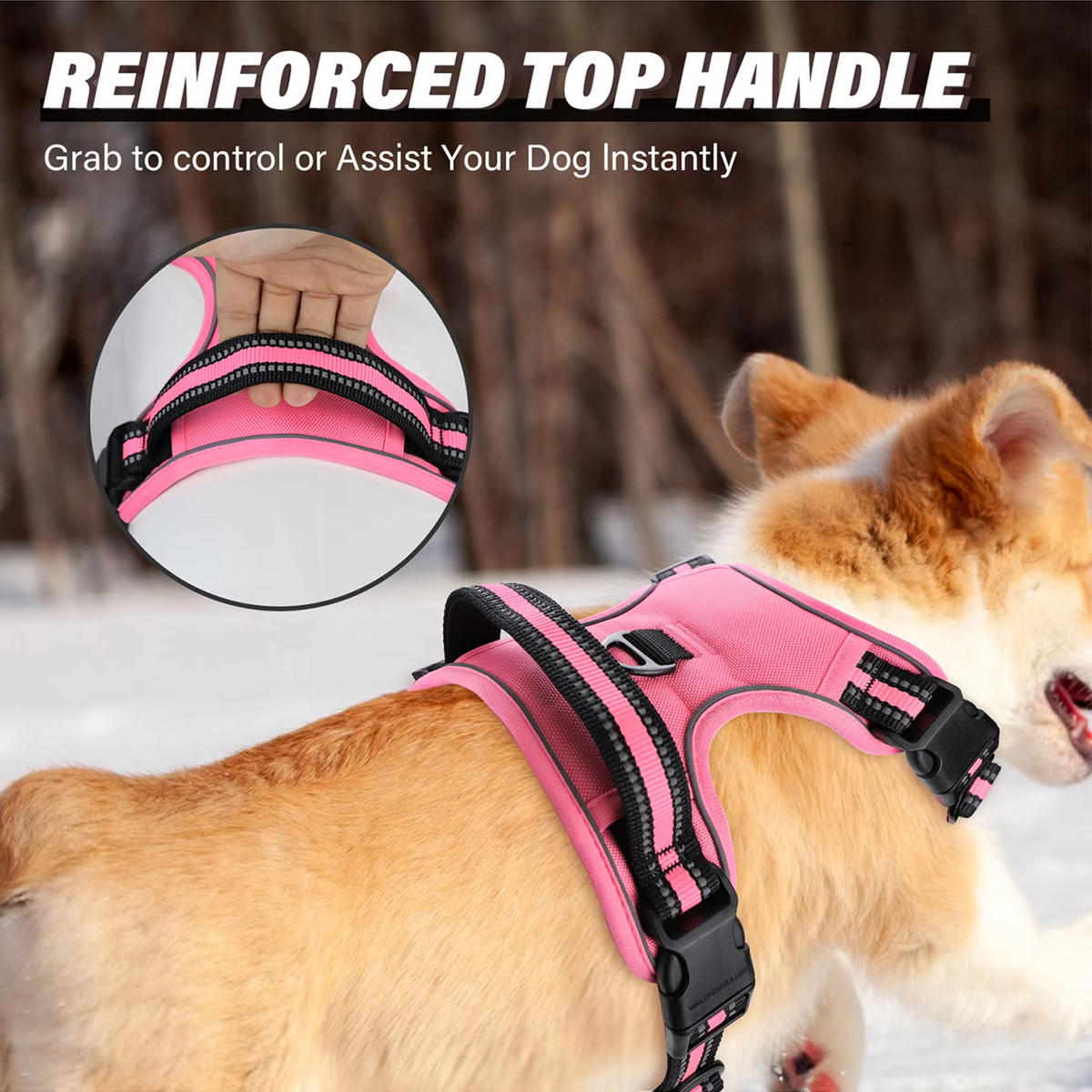 Anchorpoint No-Pull Harness & Leash Set