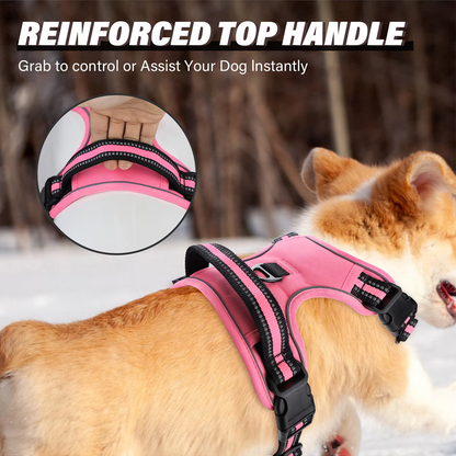 Anchorpoint No-Pull Harness & Leash Set