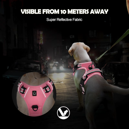 Anchorpoint No-Pull Harness & Leash Set