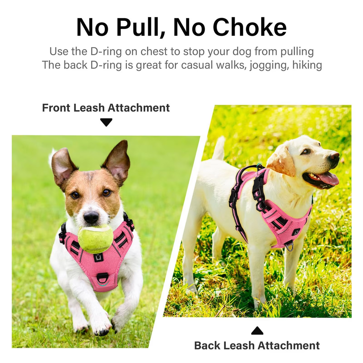 Anchorpoint No-Pull Harness & Leash Set