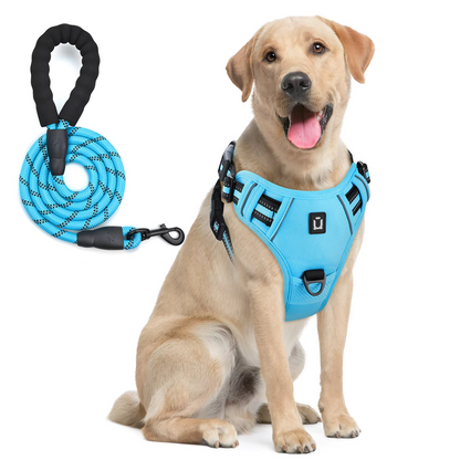 Anchorpoint No-Pull Harness & Leash Set