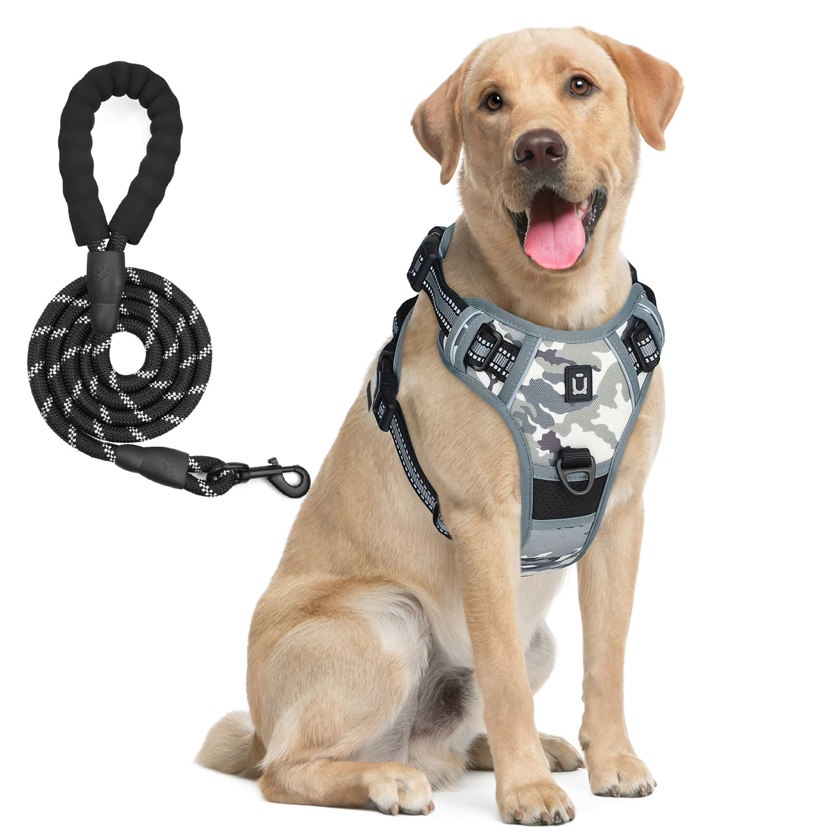 Anchorpoint No-Pull Harness & Leash Set