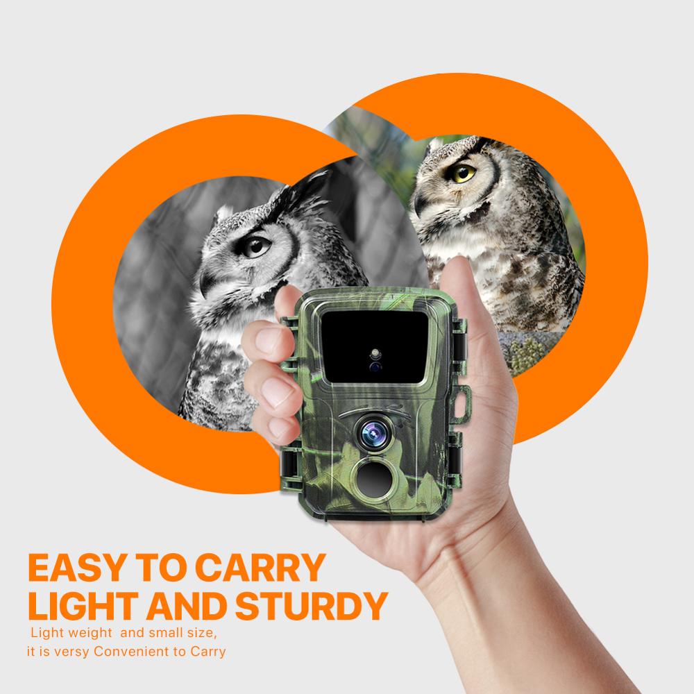 Warden Trail Cam