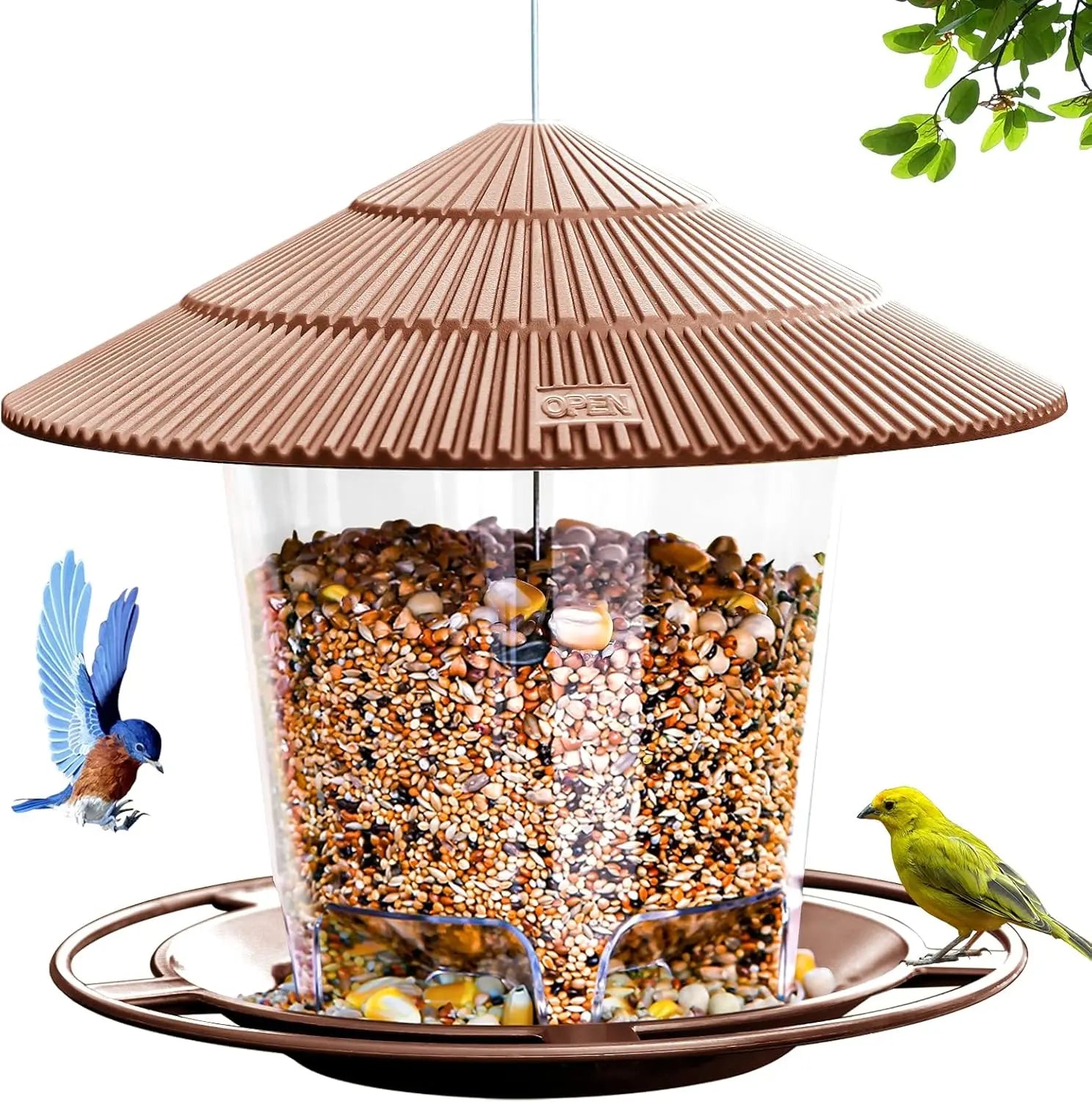 Bird Feeder