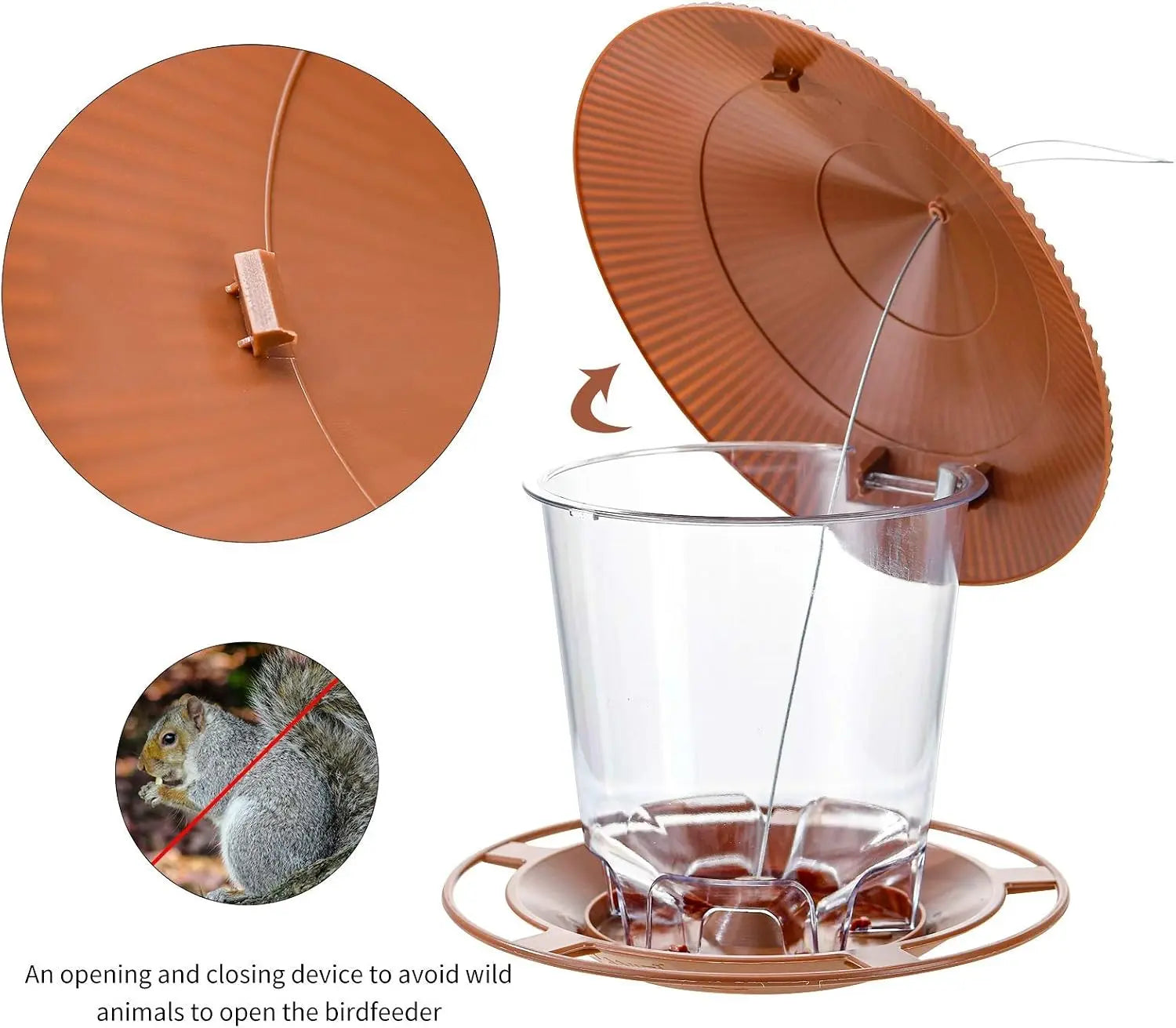 Bird Feeder