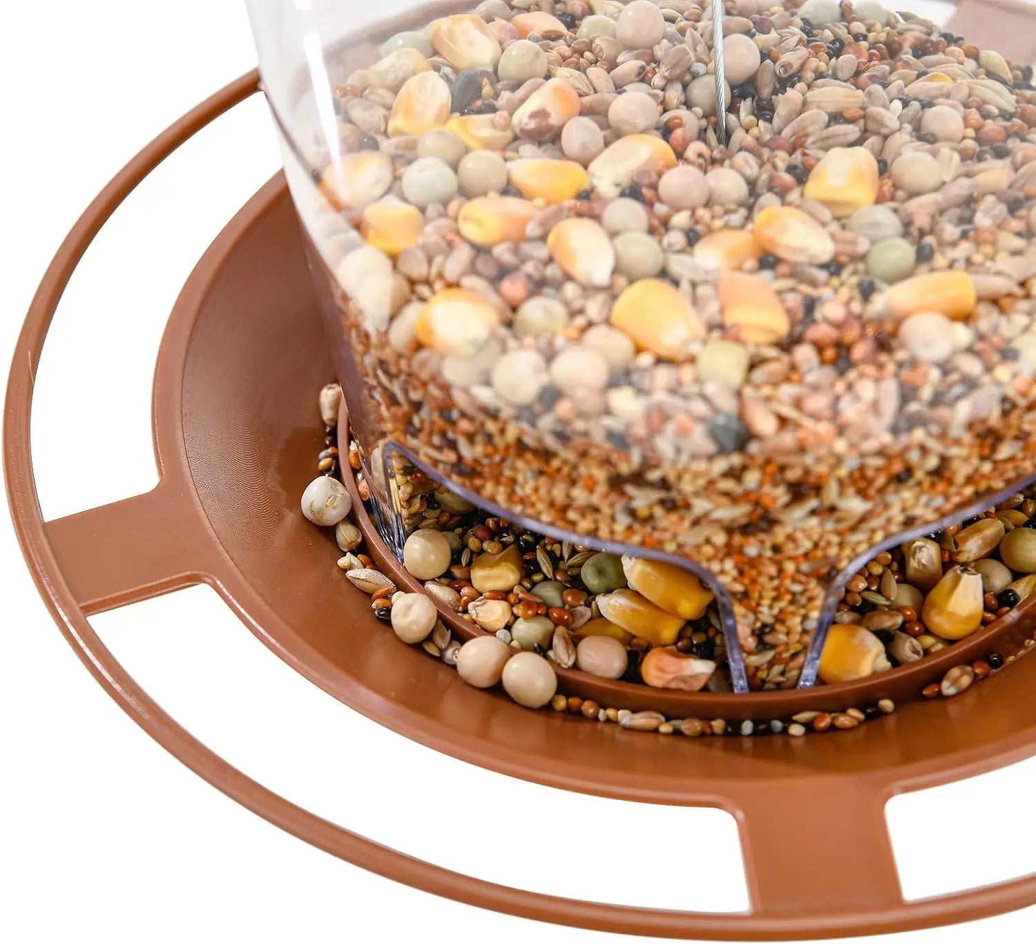 Bird Feeder