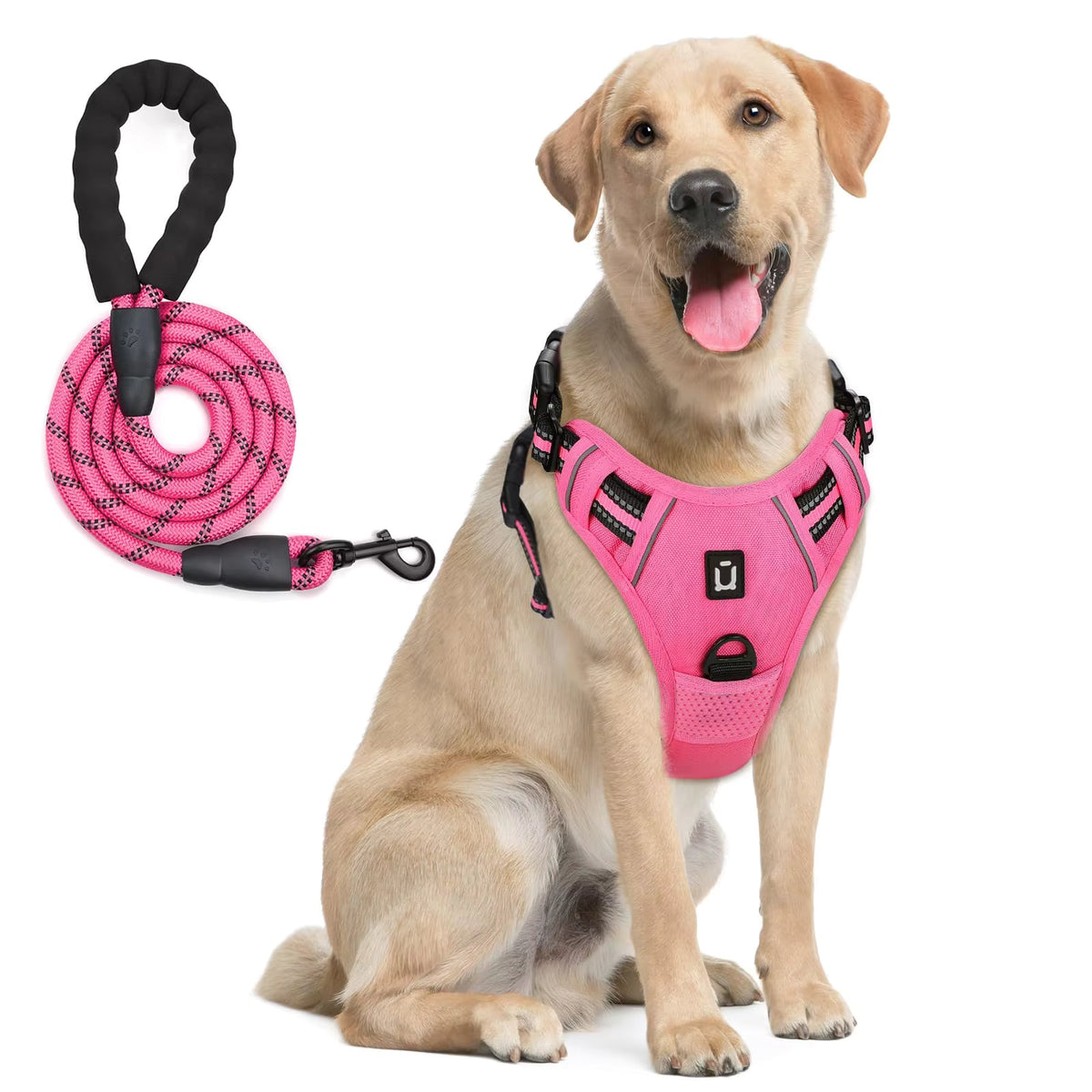 Anchorpoint No-Pull Harness & Leash Set