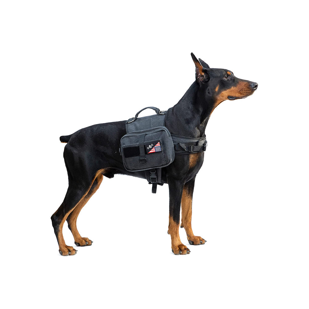 1 conjunto Hecate Dog Backpack GG