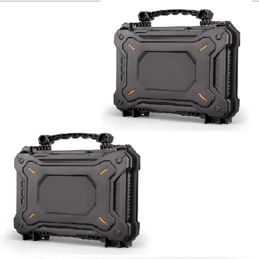 2 Wiin Pistol Safety Cases