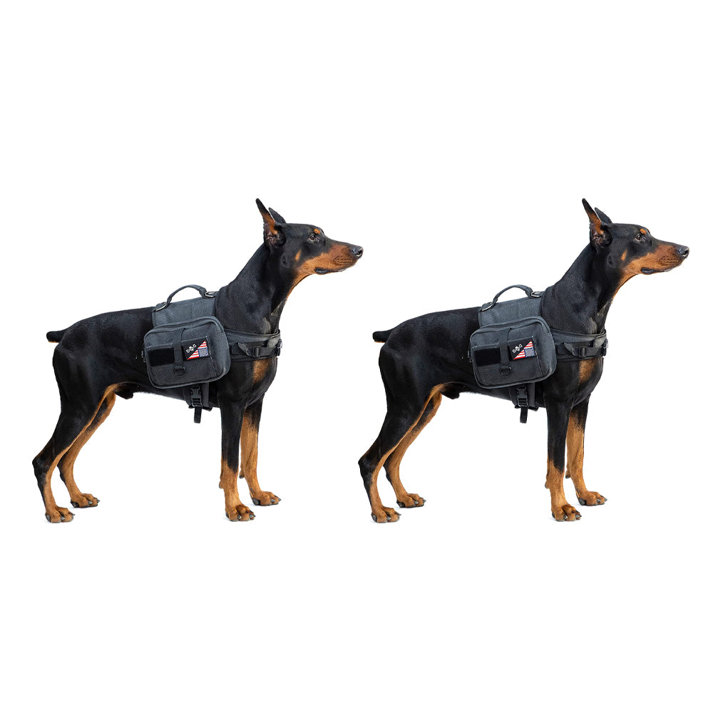 2 juegos de mochilas para perros Hecate GG