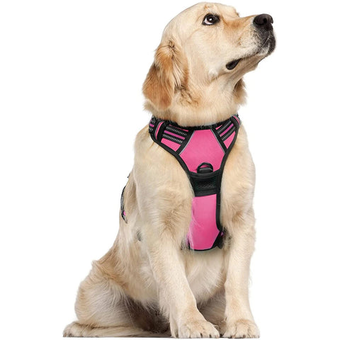Colo Tactical Dog Vest